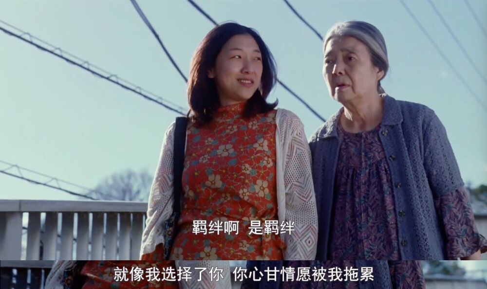 寄生虫背后的小漏洞,寄生虫和小偷家族