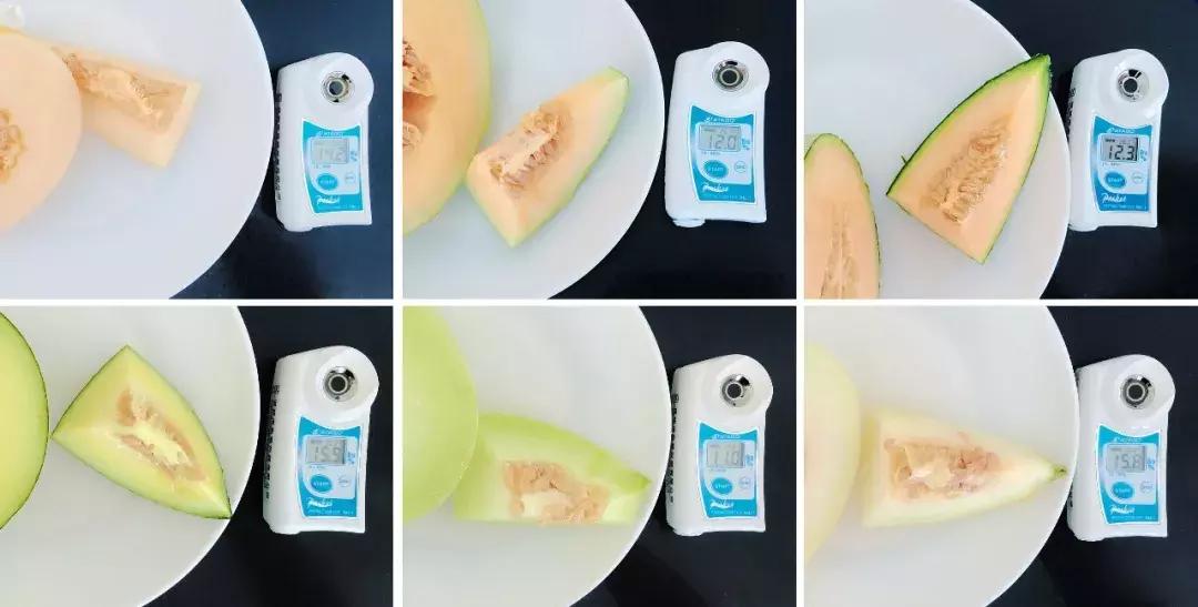 星选爱吃|看完这份蜜瓜评测，我明白这份“都挺好”的来之不易