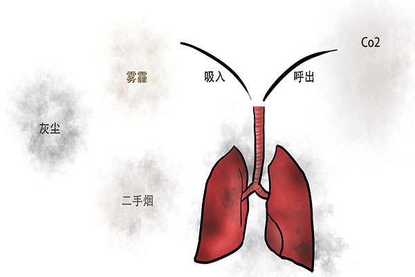 黄痰需要吐出来还是咽下去,黄痰白痰多是什么原因