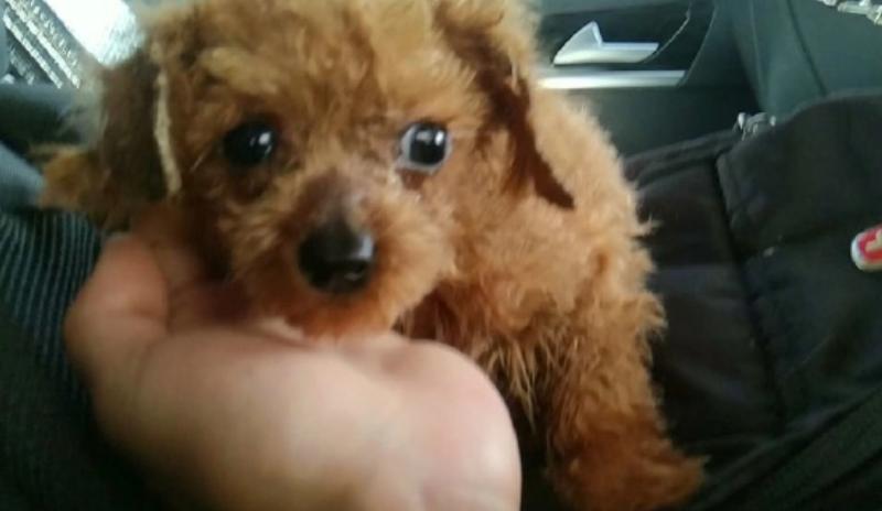 你有什么资格说爱我吗,你有什么资格说爱我完整版