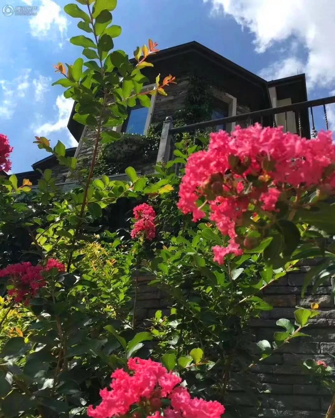 东莞莲湖山庄别墅楼盘,东莞莲湖山庄别墅最新推荐