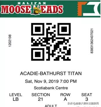 移民加拿大后，第一次在现场看激动人心的冰球比赛是种什么体验？