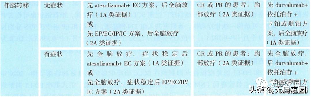 大细胞肺癌脑转移寿命一览表,肺癌转脑生存期