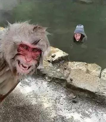 反p图神器,恶搞p图神器软件哪个最好用