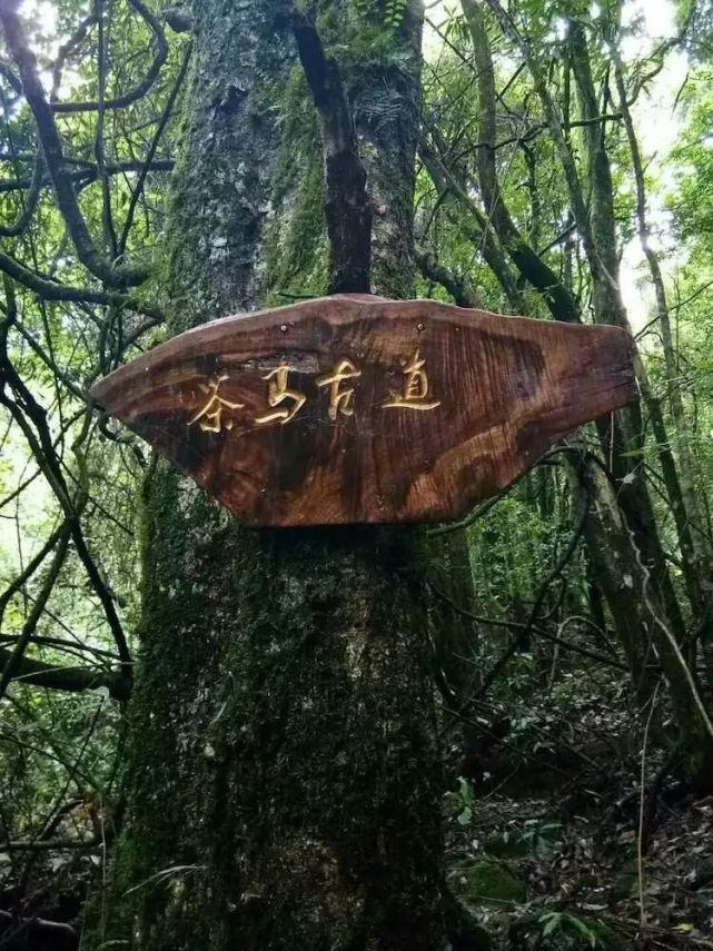 比大理丽江还美的地方,比大理丽江更值得去的地方腾冲