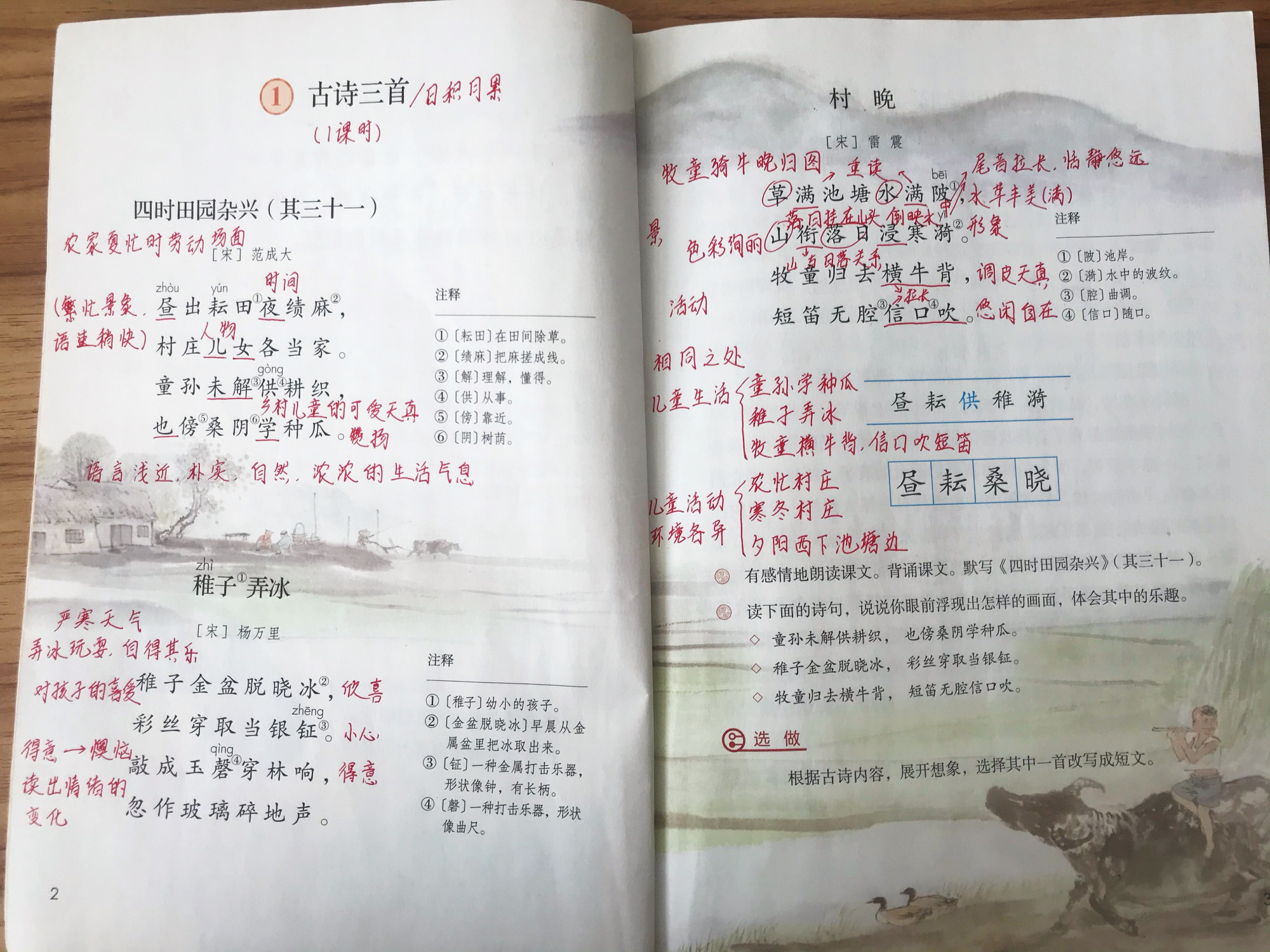 五年级语文上册知识梳理,五年级上册语文第一单元重点知识