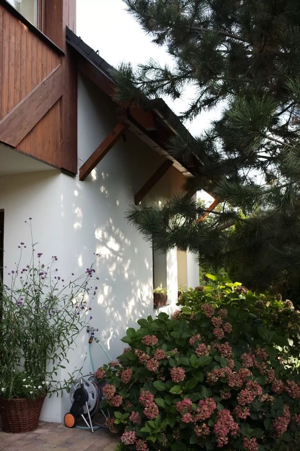 探访TON工厂看经典椅子背后的故事|疯狂24h我们去捷克干了啥？