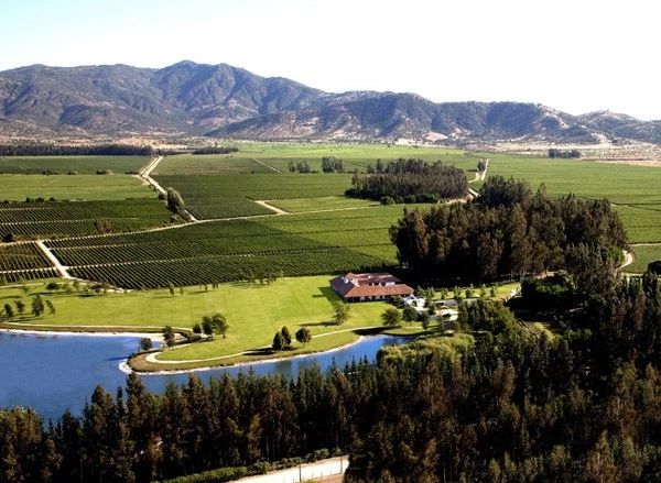 拉菲罗斯柴尔德集团,你知道拉菲集团吗