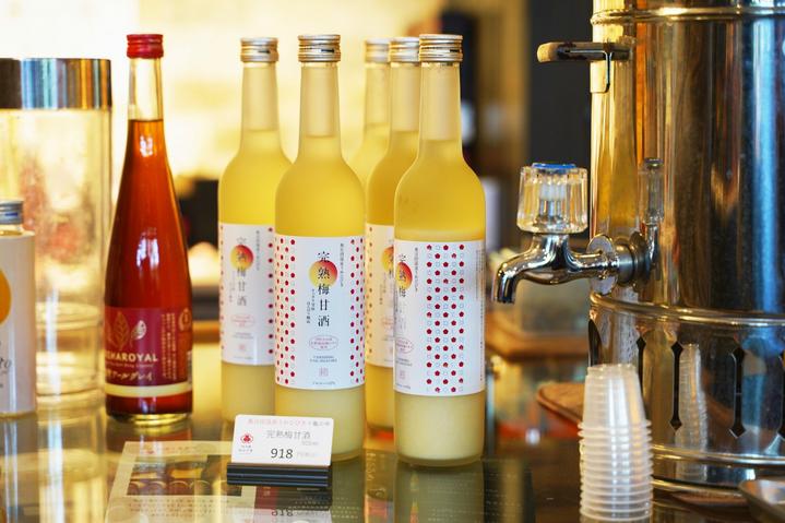 日本九州特急火车,日本九州观光火车攻略