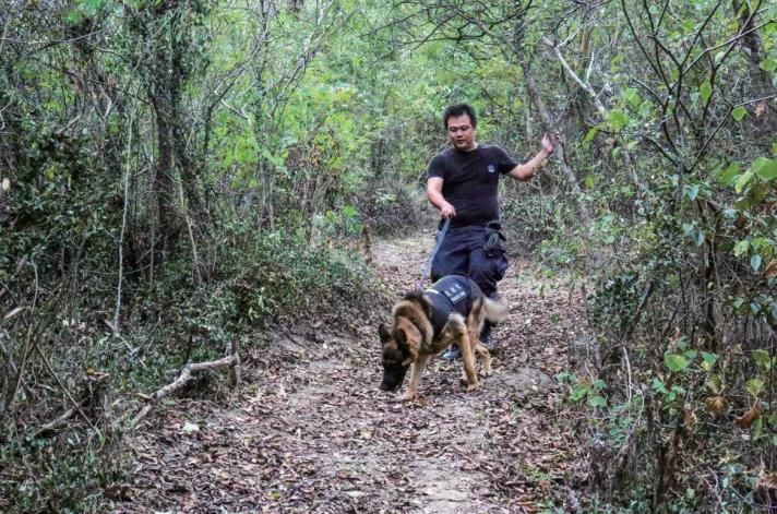 浙江公安特警实战练兵视频,怎样提升公安特警战斗力