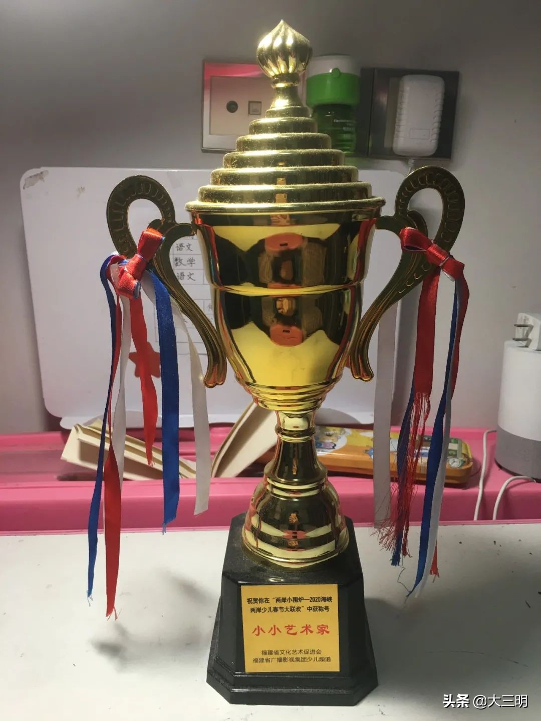 荣誉升旗手丨二年,6班刘昕妤