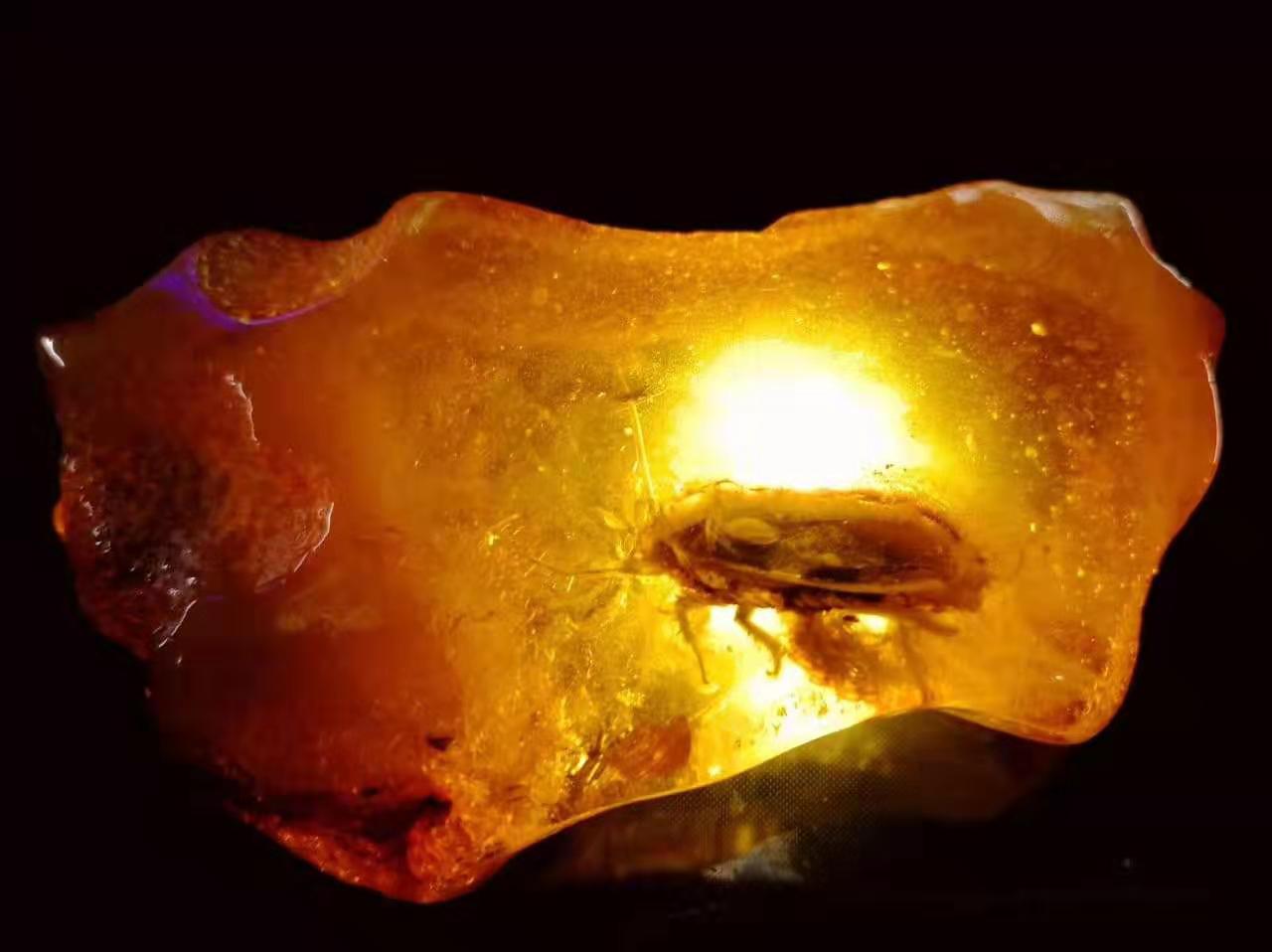 去圣彼得堡唯一的琥珀工厂打卡