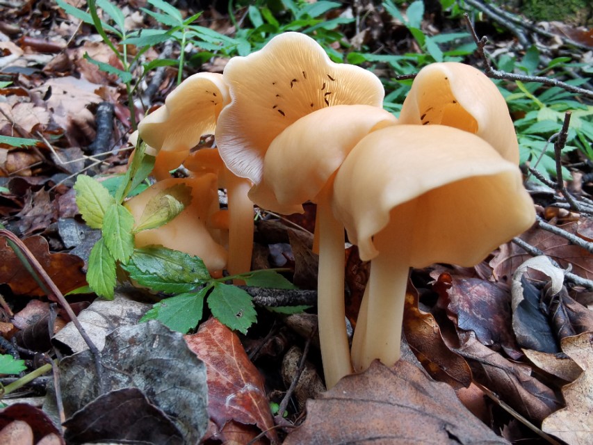 驼梁‖一处来了就会让你爱上的地方