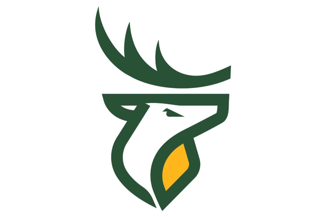 加拿大军队logo,加拿大足球队队旗