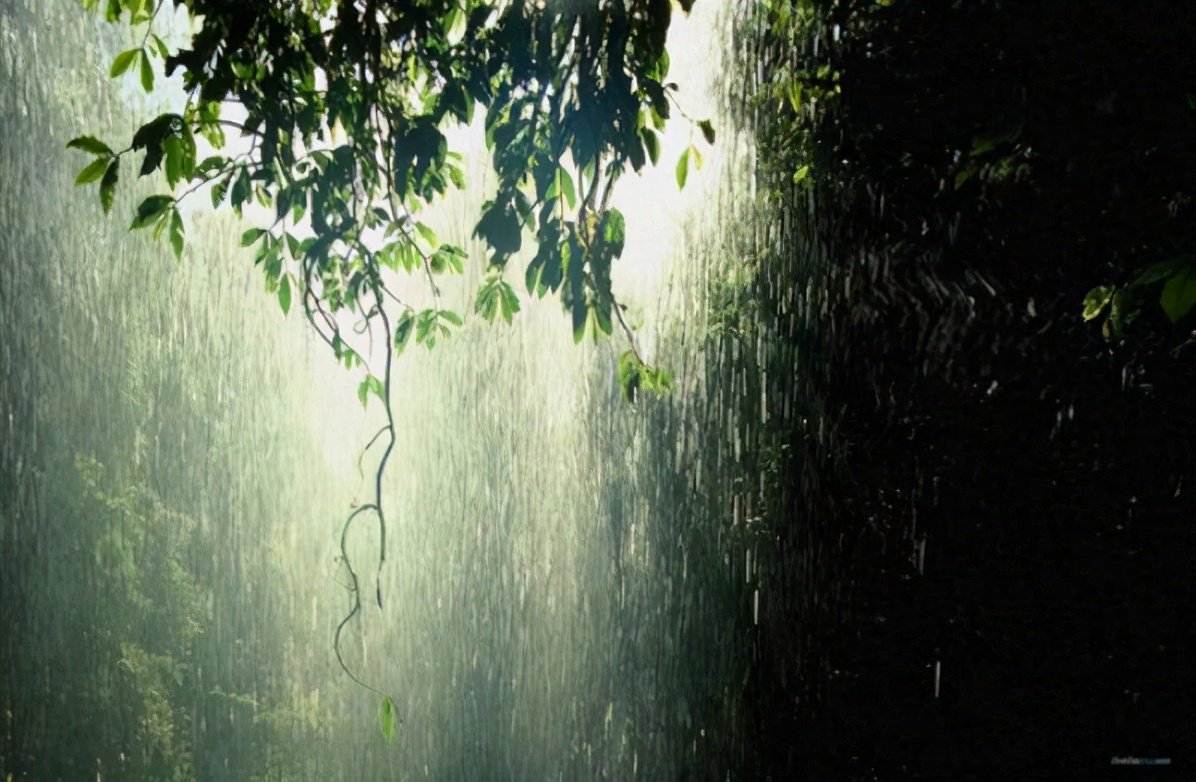 你眼中的夏天是什么样子一年级,你眼中的夏天是怎样的一年级学生