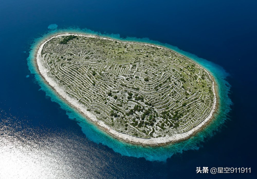 双语文字阅读,独一无二的指纹怎么说