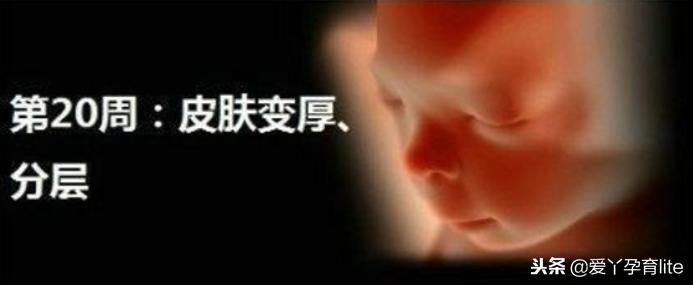 37周到40周做些什么产检,孕期产检知识大全