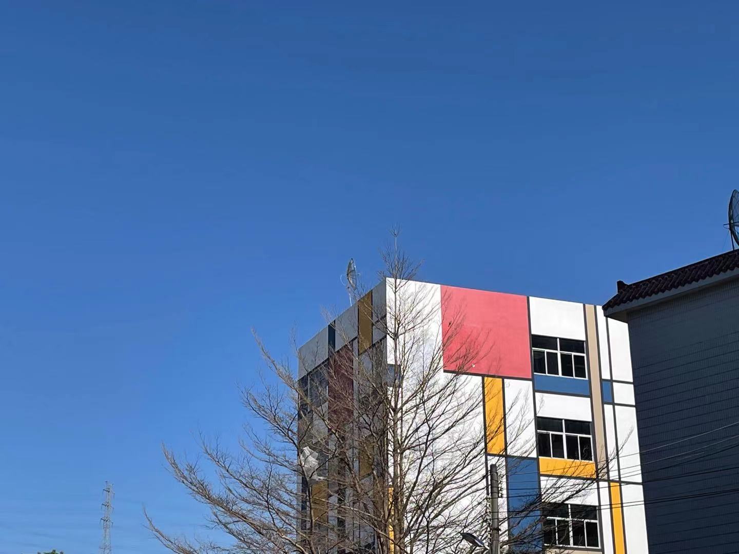 今日深圳龙华旅游攻略,深圳周末龙华去哪玩推荐