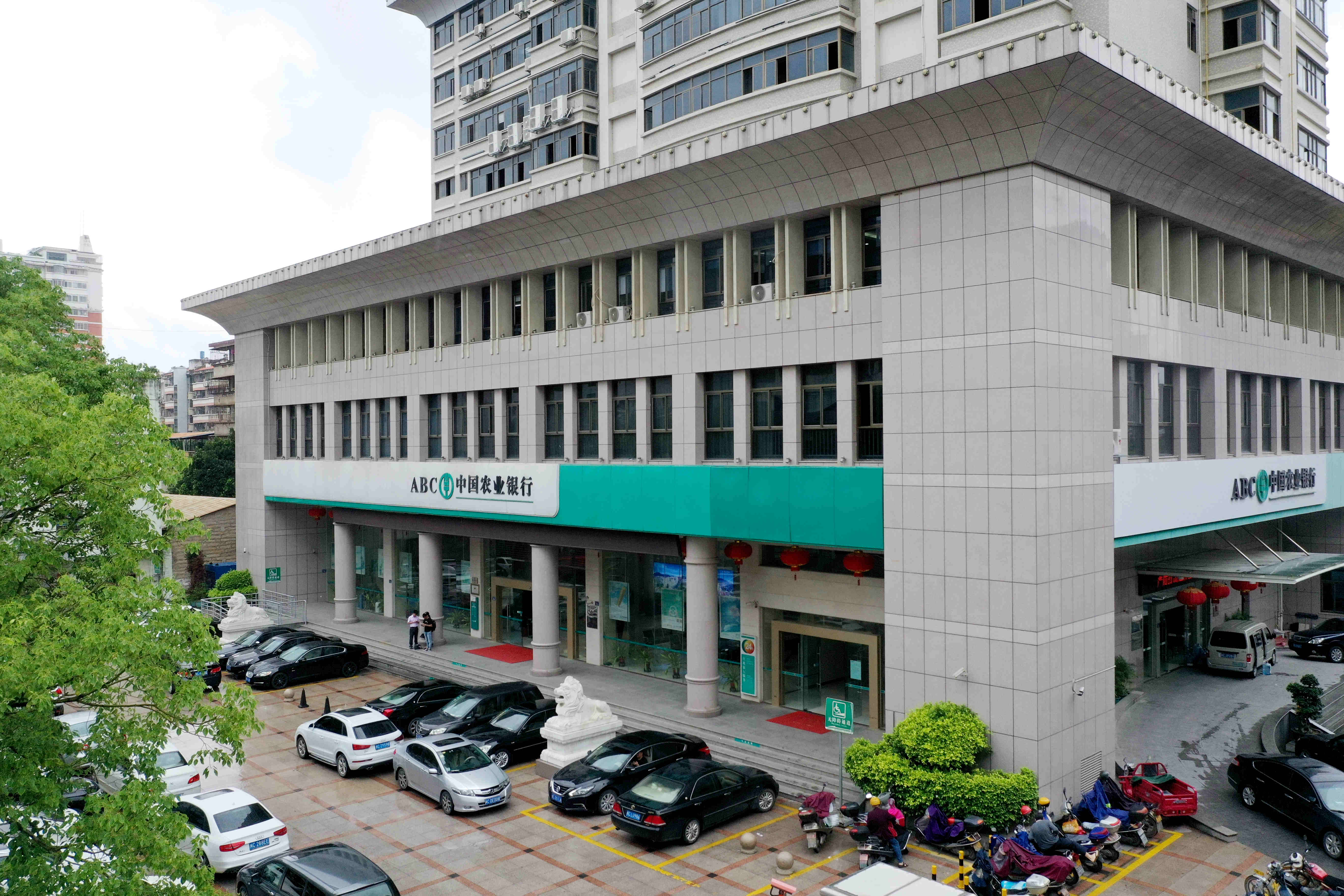 农业发展银行服务乡村振兴的银行,村镇银行助推乡村振兴的情况报告