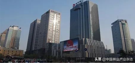 品桥木门:北京大兴机场|凤凰已经展翅,未来正在启航,我门承蒙青睐