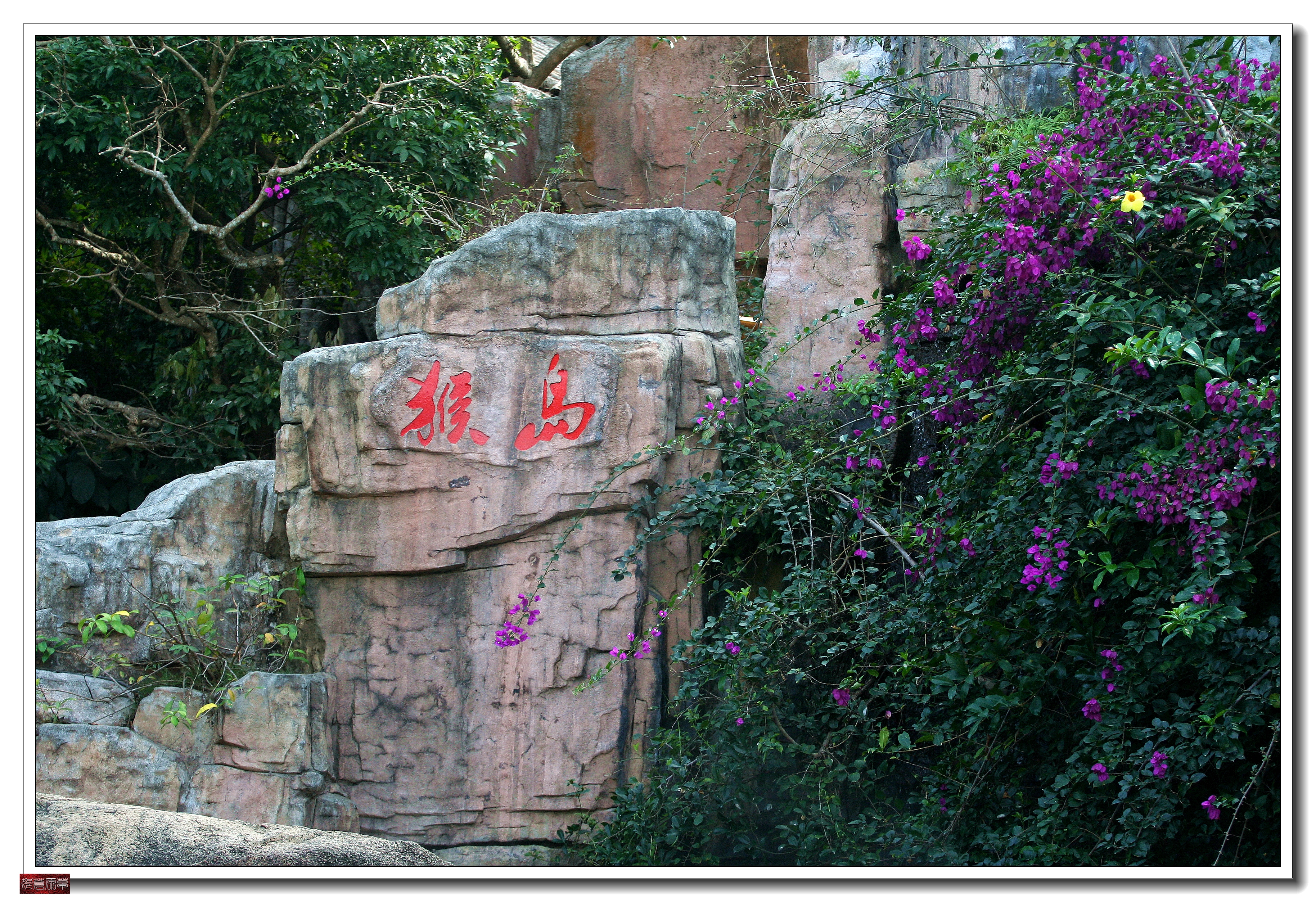 南湾猴岛猕猴王国,猕猴乐园南湾猴岛