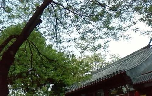 历史上定远籍的五个“宰相”