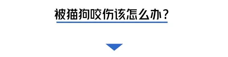 被猫狗咬伤如何正确处理,被猫狗咬伤十天了还能打针吗