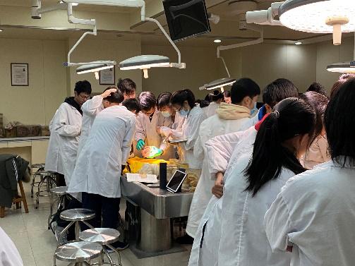 虚拟仿真实验虚实结合,虚实结合实训教学模式