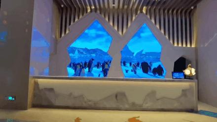 首探珠海长隆海洋科学酒店揭秘！超多高科技的国内顶级亲子酒店