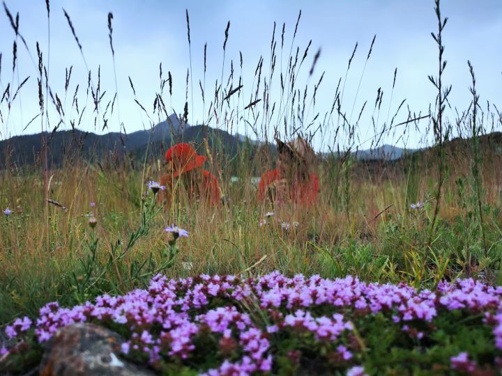 父亲让我教他怎么在微信发红包：原来他们真正想要的是这些