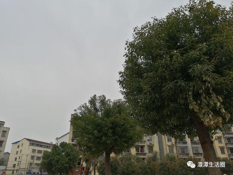 诗中的随县澴潭二小随州作者孔庆杰】