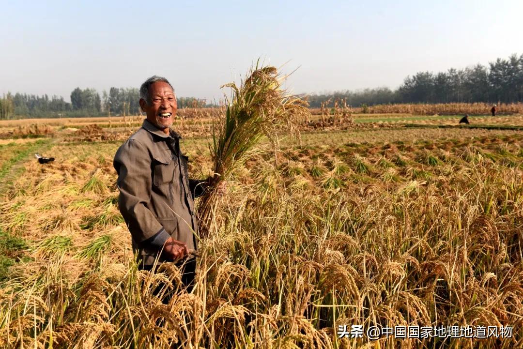 世界二线城市中国有哪些城市,济南是一线还是二线城市