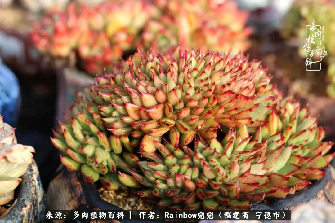 岁月无波澜余生不悲欢是啥意思,愿你岁月无波澜敬我余生无悲欢