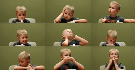 成年人如何提高专注力和自控力,自我提高专注力的方法