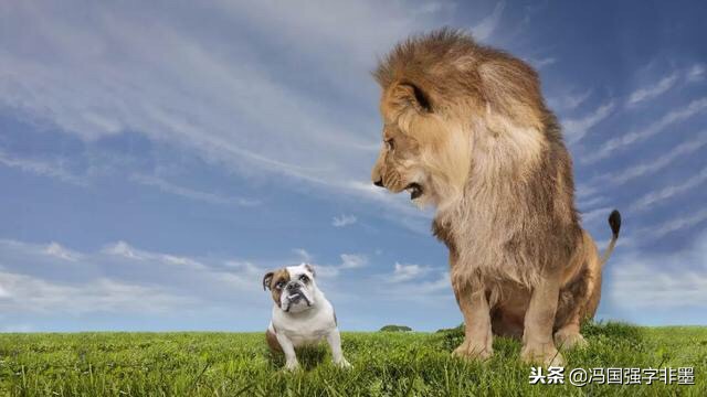 如何跨越平台期,如何跨境转账