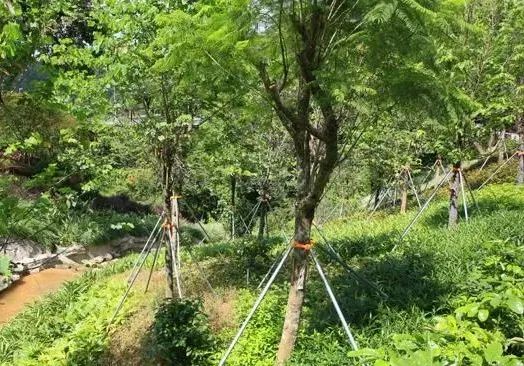 深圳新添大型高颜值公园,深圳最近新开放的公园