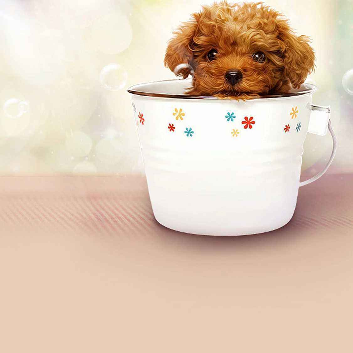 畸形的爱和畸形的恨,畸形的爱真的可怕吗