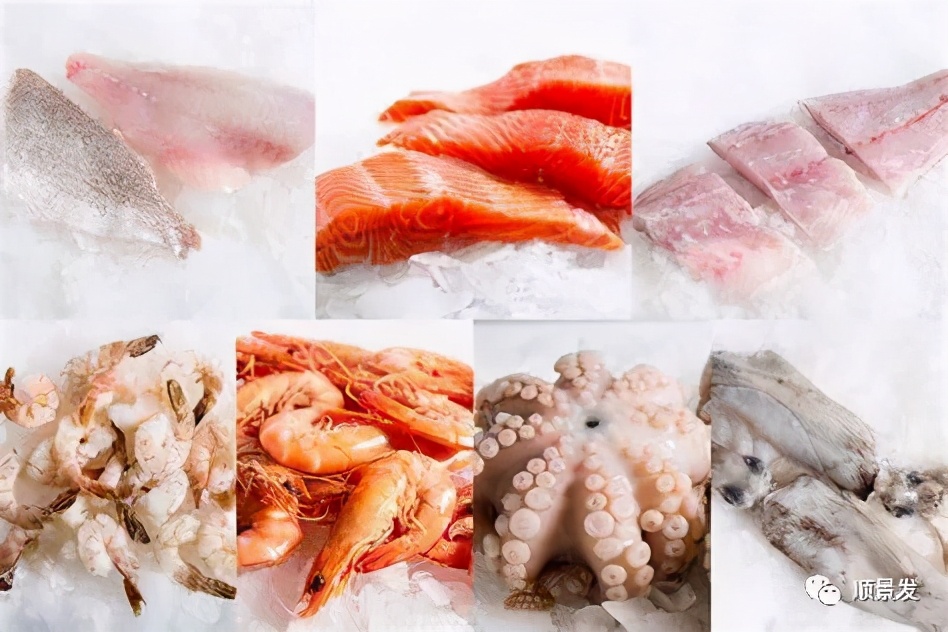 冷冻海鲜进口知识大全,船冻鱿鱼回家怎么处理