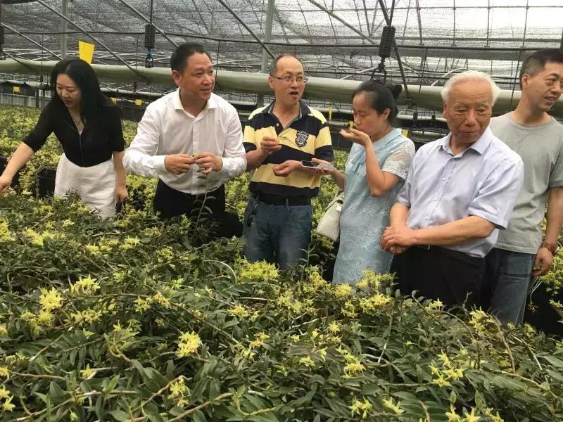 2022年寿仙谷杯省运会,寿仙谷比赛