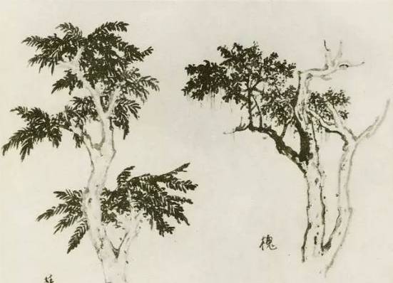 画树教程,怎么画树好看又超级简单