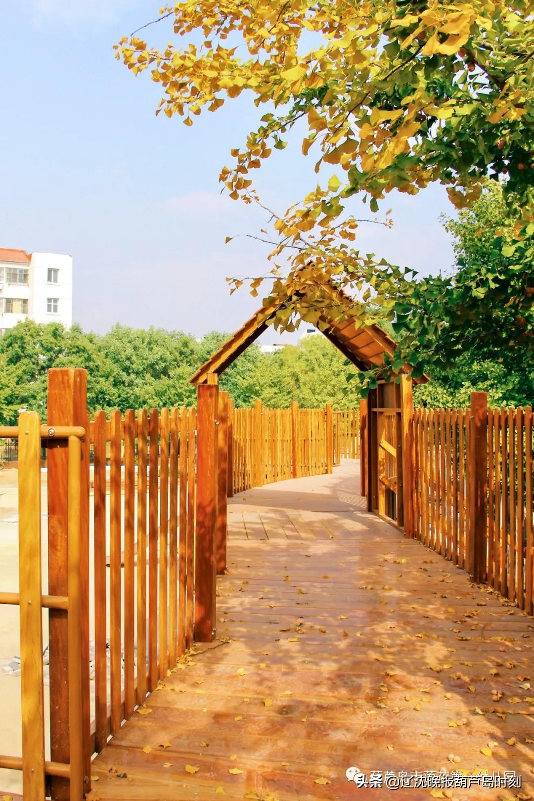 我们开园啦视频,葫芦岛幼儿园一园