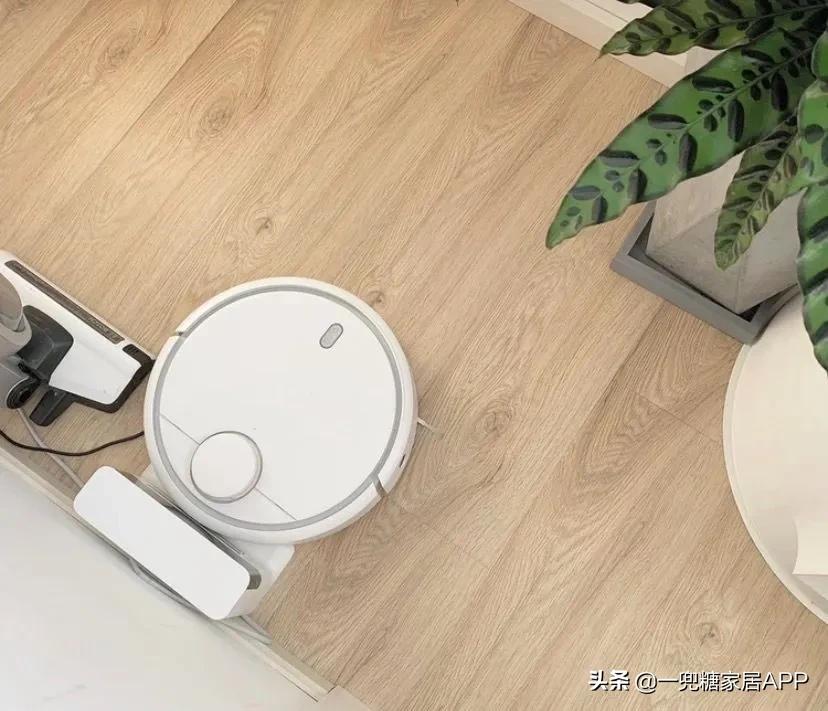 来自隔离期的深刻反思：为什么我没早点买这15款家电？