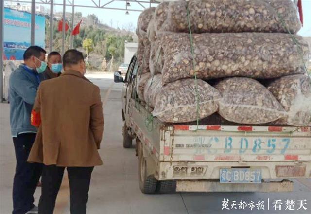 助农增收见实效亲情帮扶暖民心,助农扶农送真情