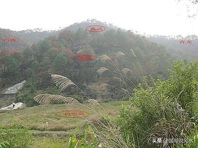 地理风水寻龙与点穴,觅龙察砂观水点穴立向