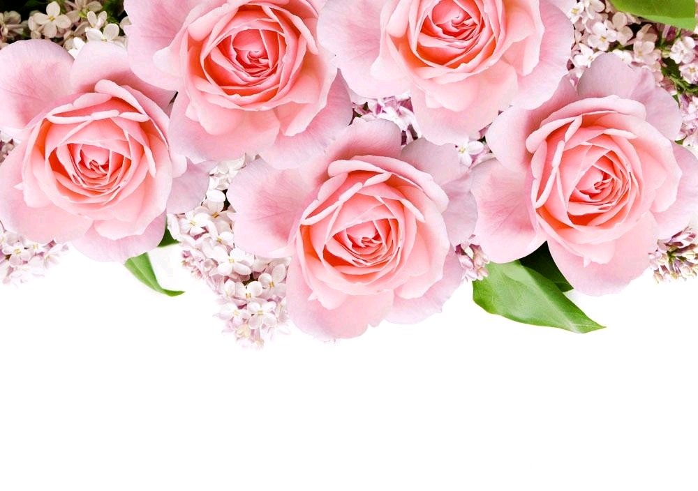 被请出去的外星人″