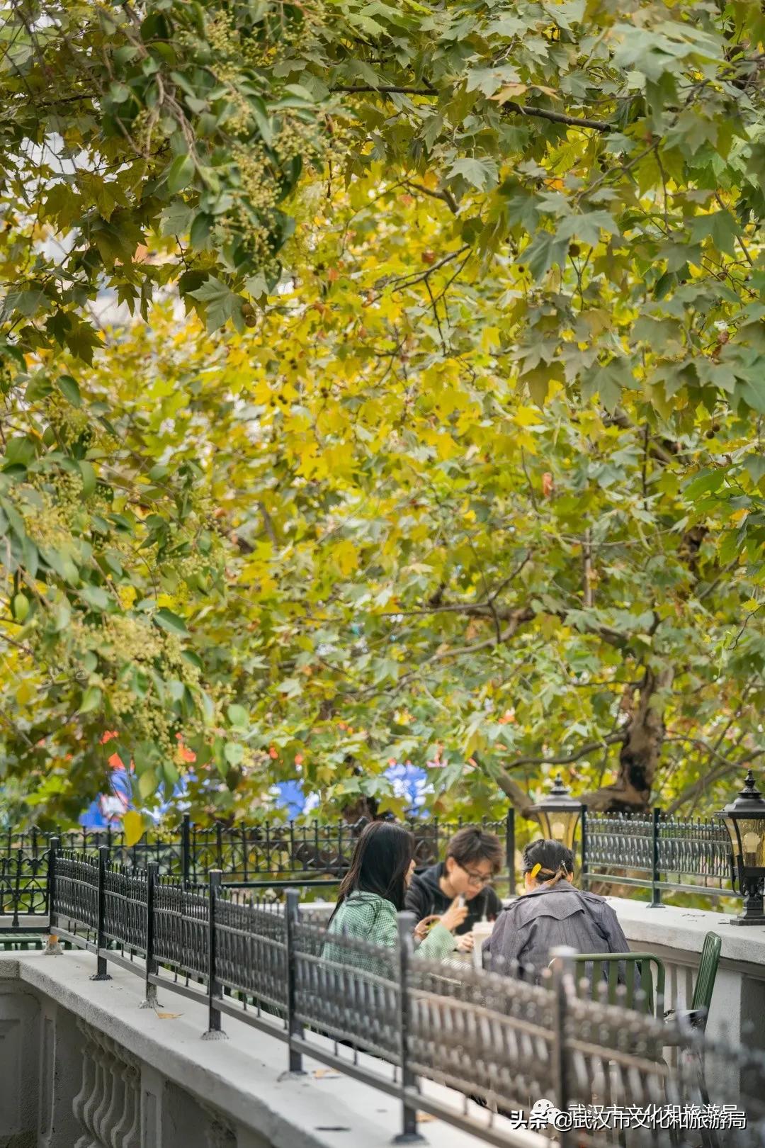 南京西路顶级老洋房,上海南京路独栋老洋房出售