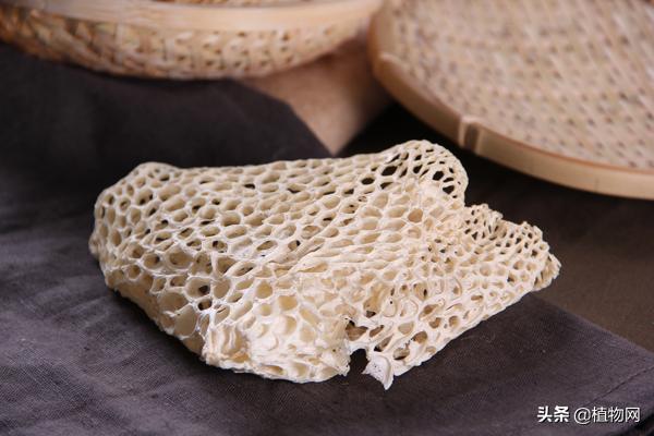 竹荪菌烹饪方法有哪些,菌中皇后竹荪的烹饪方法建议收藏