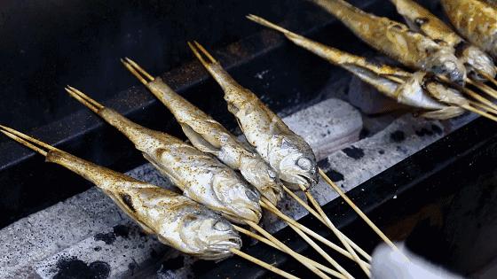 天价野生大黄鱼,温州天价野生大黄鱼