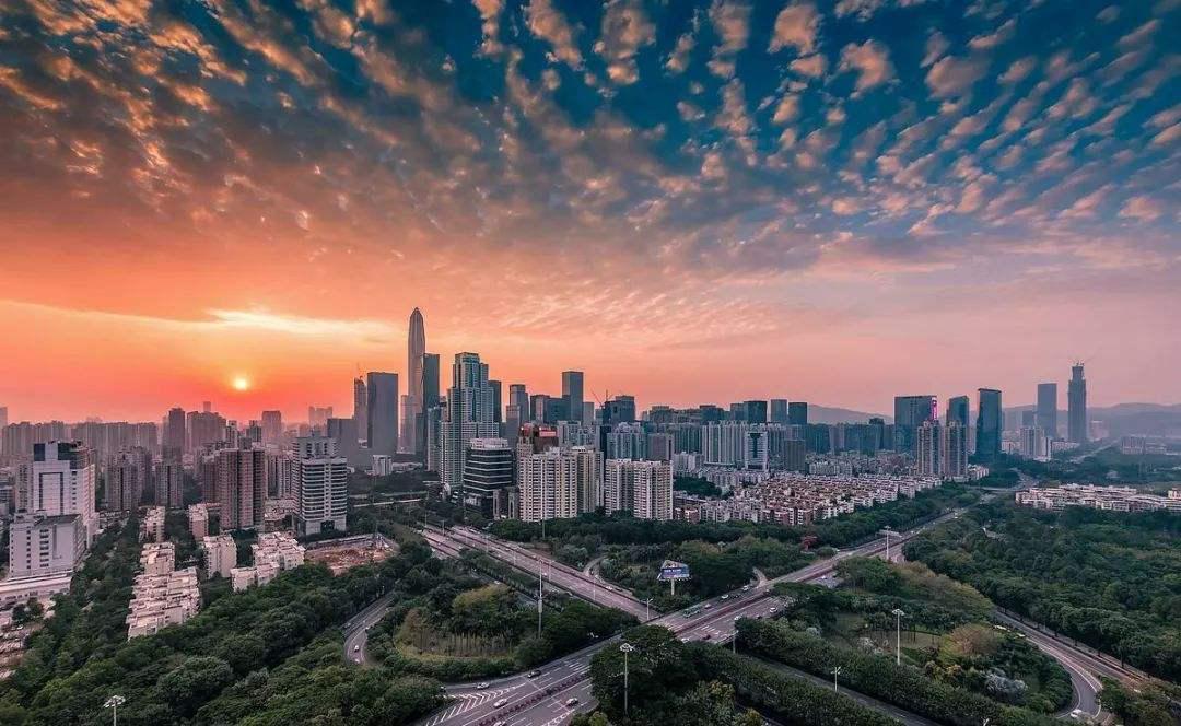 中港车商务车司机收入,香港中港汽车司机真实生活