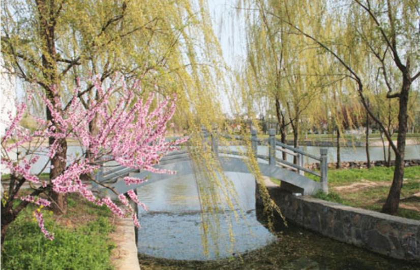 独立学院分数高还是民办分数高,独立学院值不值得报考